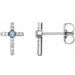 Accented Cross Earrings