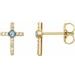 Accented Cross Earrings