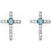 Accented Cross Earrings