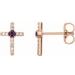 Accented Cross Earrings