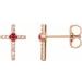 Accented Cross Earrings