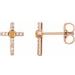 Accented Cross Earrings