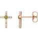 Accented Cross Earrings
