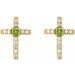Accented Cross Earrings