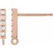 Accented Bar Earring Top