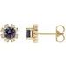 Round 4-Prong Halo-Style Earrings