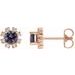 Round 4-Prong Halo-Style Earrings