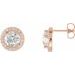 Round 4-Prong Halo-Style Earrings