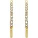 Accented French Wire Earring Top