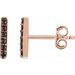 Bar Earrings