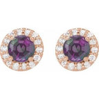 Round 4-Prong Halo-Style Earrings