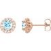 Round 4-Prong Halo-Style Earrings