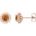 Round 4-Prong Halo-Style Earrings