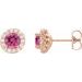 Round 4-Prong Halo-Style Earrings