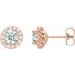 Round 4-Prong Halo-Style Earrings