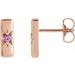 Accented Bar Earrings