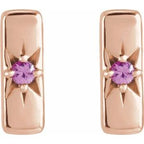 Accented Bar Earrings