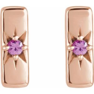 Accented Bar Earrings