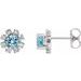 Round 4-Prong Halo-Style Earrings