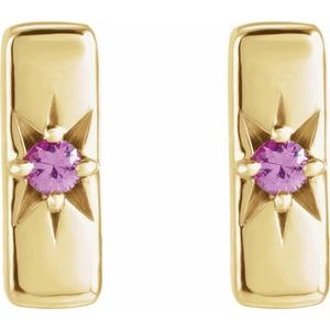 Accented Bar Earrings