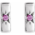 Accented Bar Earrings