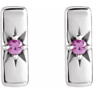 Accented Bar Earrings
