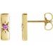 Accented Bar Earrings