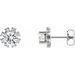 Round 4-Prong Halo-Style Earrings