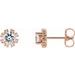 Round 4-Prong Halo-Style Earrings