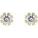 Round 4-Prong Halo-Style Earrings
