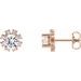 Round 4-Prong Halo-Style Earrings