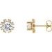 Round 4-Prong Halo-Style Earrings