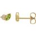 Accented Bezel-Set Earrings