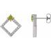 Accented Geometric Earrings