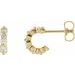 Accented Hoop Earrings