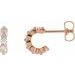 Accented Hoop Earrings