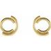 Circular Drop Earrings