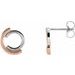 Circular Drop Earrings