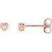 Round 3-Prong Youth Heart Earrings