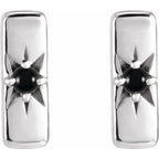 Accented Bar Earrings