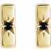Accented Bar Earrings