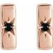 Accented Bar Earrings