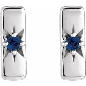 Accented Bar Earrings