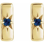 Accented Bar Earrings