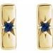 Accented Bar Earrings