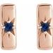 Accented Bar Earrings