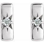 Accented Bar Earrings