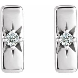 Accented Bar Earrings