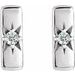 Accented Bar Earrings