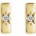 Accented Bar Earrings